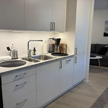 Apartment Modern - Steps From Grieghallen&trainstation *