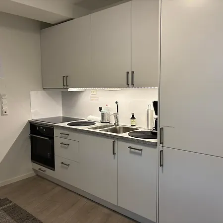 Apartament New Modern In Centrum Bergen