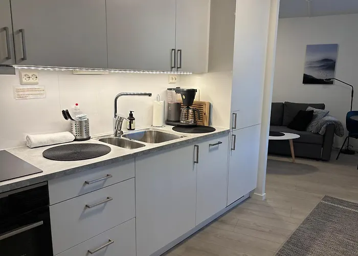 Appartement Modern - Steps From Grieghallen And Trainstation *