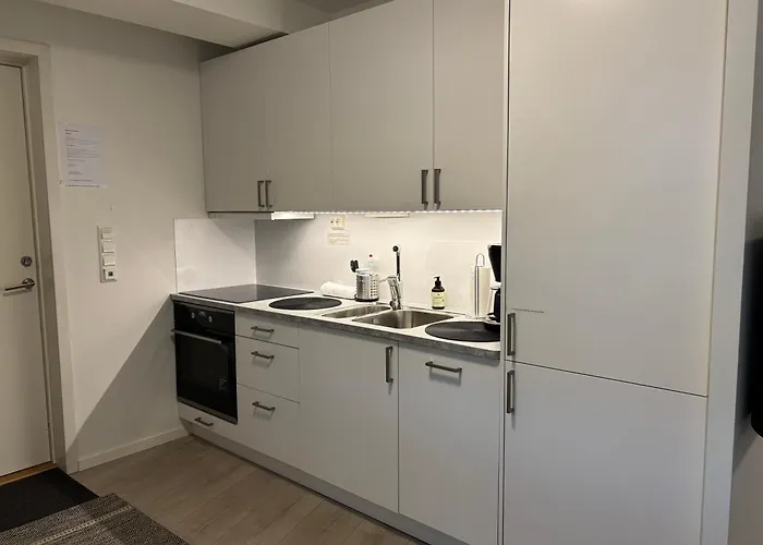 Appartement Modern - Steps From Grieghallen And Trainstation Bergen