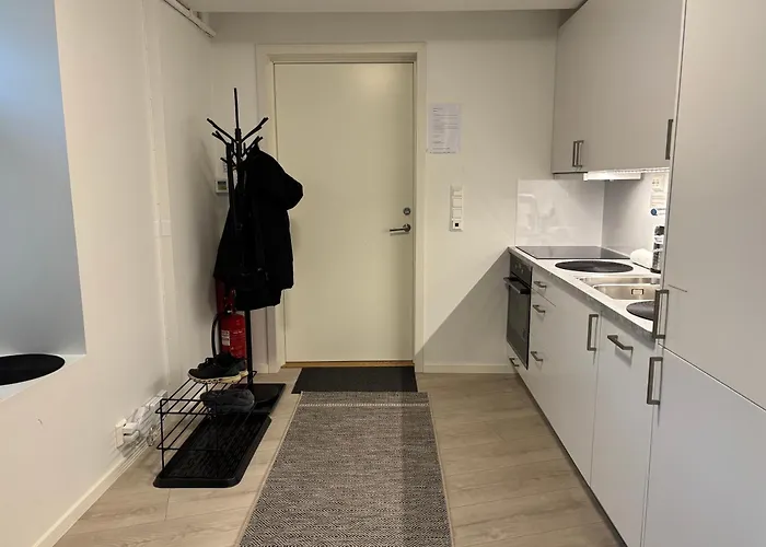 Appartement Modern - Steps From Grieghallen And Trainstation